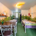 Center Garden Camping