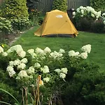 אתר קמפינג Center Garden *