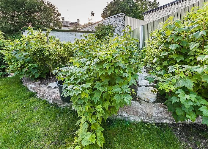 Center Garden Κάμπινγκ