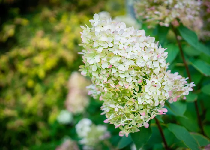 シティー センター ガーデン キャンピング