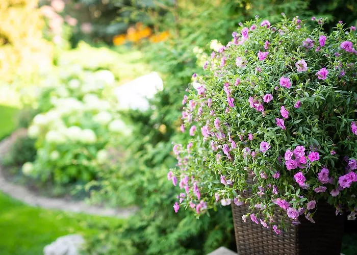 Center Garden Κάμπινγκ *