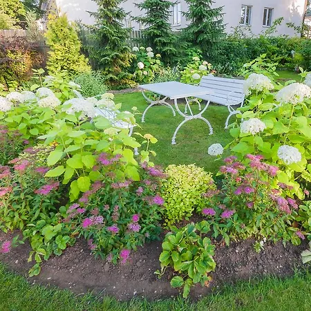 Center Garden 캠프장 *