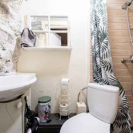 Center Garden 캠프장 탈린