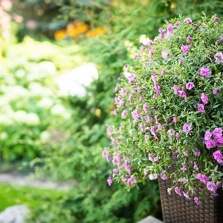 Center Garden 캠프장 *