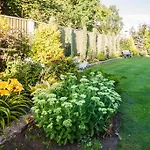 City Center Garden Camping