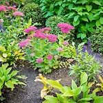 City Center Garden Camping