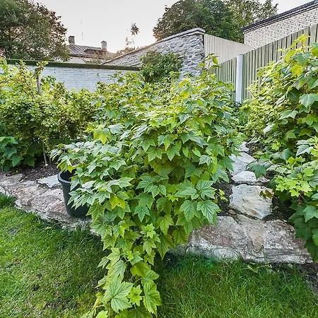 Center Garden Camping