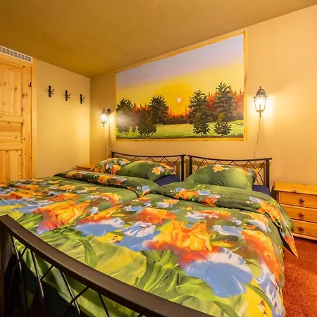 シティー センター ガーデン キャンピング キャンプ場 *