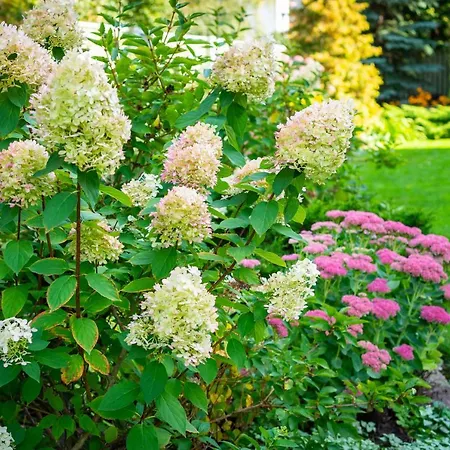 キャンプ場 シティー センター ガーデン キャンピング