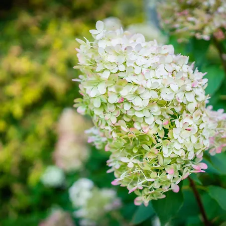 シティー センター ガーデン キャンピング