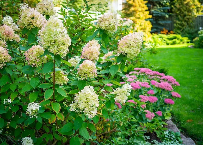 Camping Center Garden